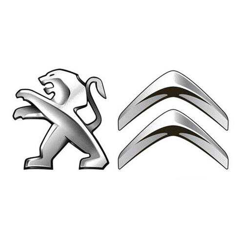 Колпачок ступицы колеса Peugeot-Citroen с эмблемой Peugeot 542189 в Шинсервис