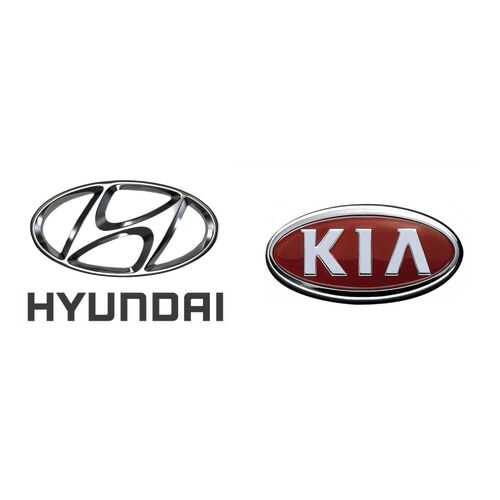 Колпак ступицы колеса Hyundai-KIA 529601G300 в Шинсервис