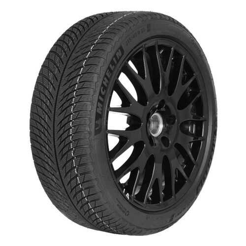 Шины MICHELIN 315/30/21 V 105 PILOT ALPIN 5 XL (NA5) в Шинсервис